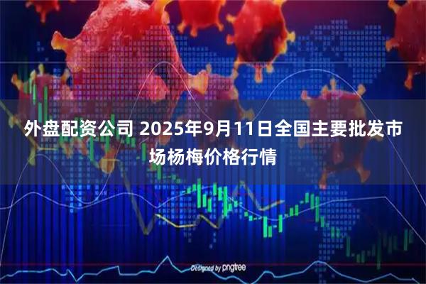 外盘配资公司 2025年9月11日全国主要批发市场杨梅价格行情