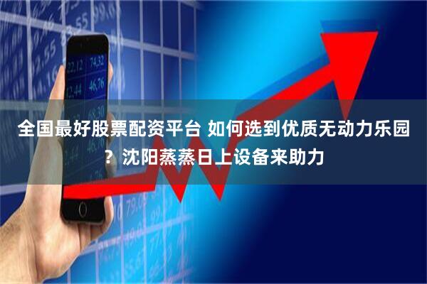 全国最好股票配资平台 如何选到优质无动力乐园？沈阳蒸蒸日上设备来助力