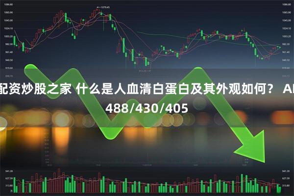 配资炒股之家 什么是人血清白蛋白及其外观如何？ AF488/430/405